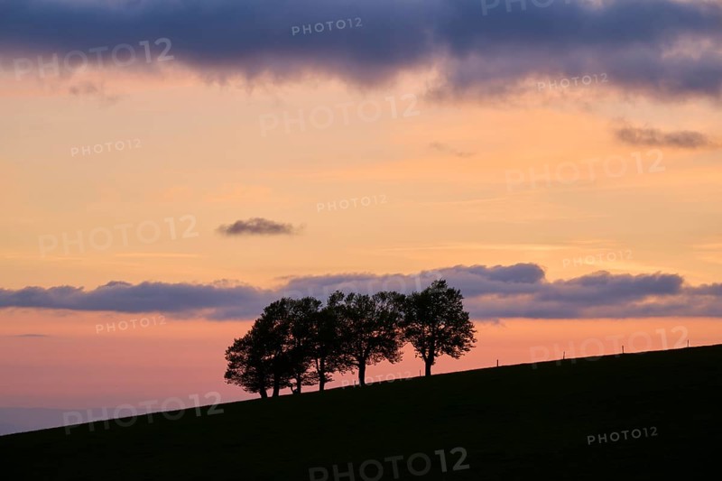 Wind beeches at sunset with cloudy sky in spring