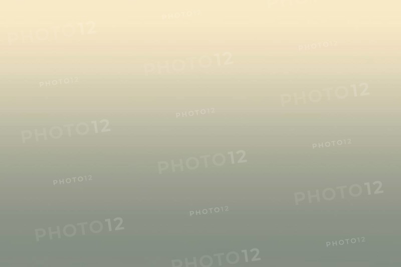 Stilton grey gradient texture