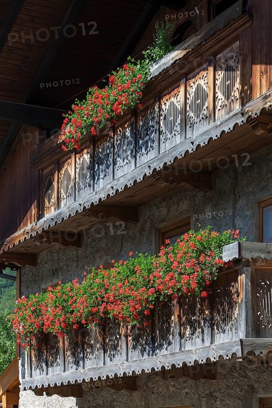 Summer flowers