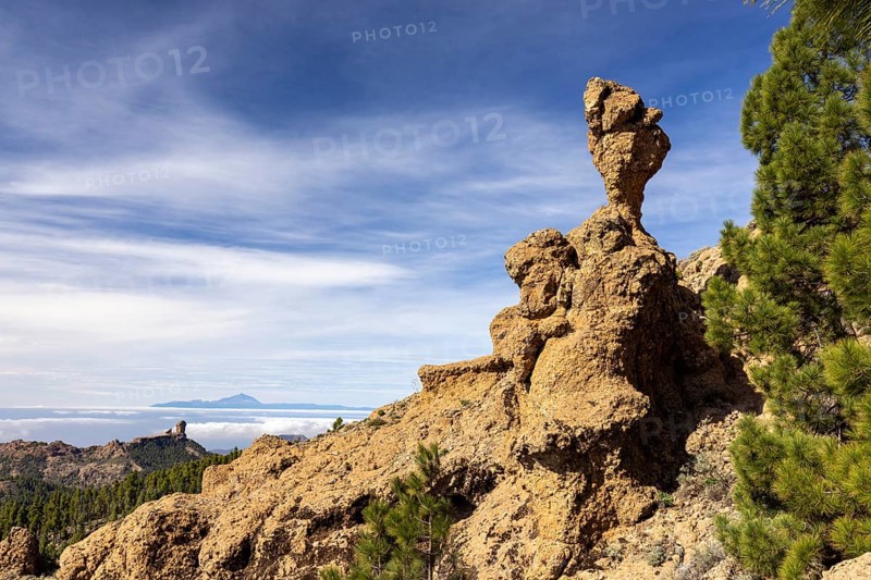 Mushroom rock