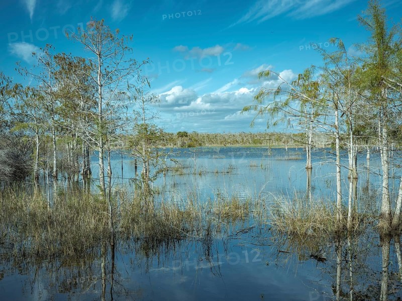 Lagoon
