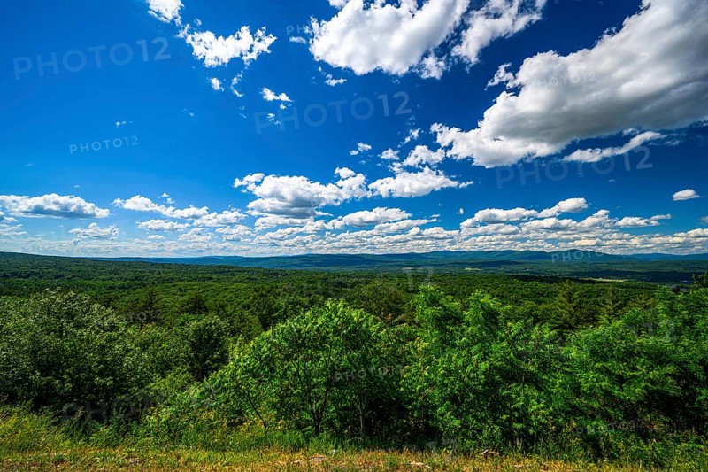Catskill Scenic Overlook on State Rte 55