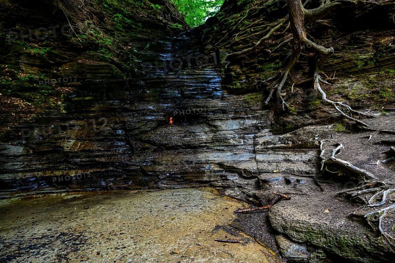 Chestnut Ridge Park Eternal Flame Falls Trail