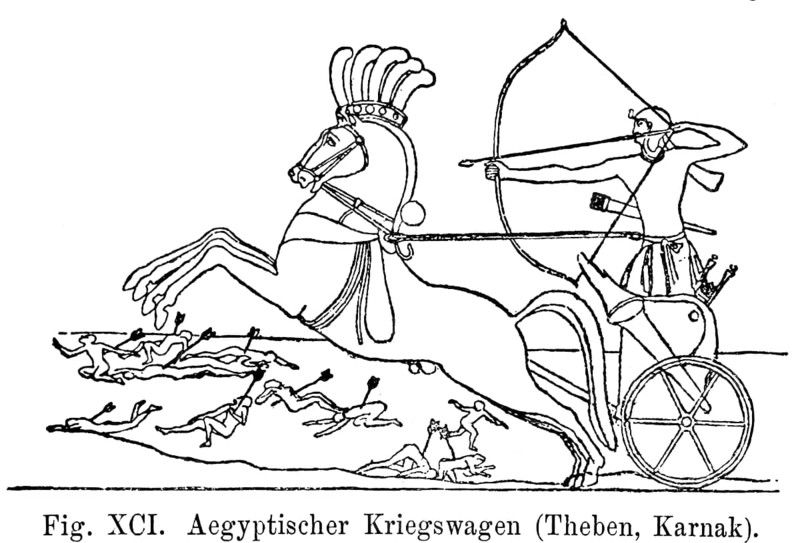 Egyptian war chariot