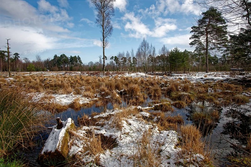 Snow-covered winter landscape in the Tister Bauernmoor nature reserve