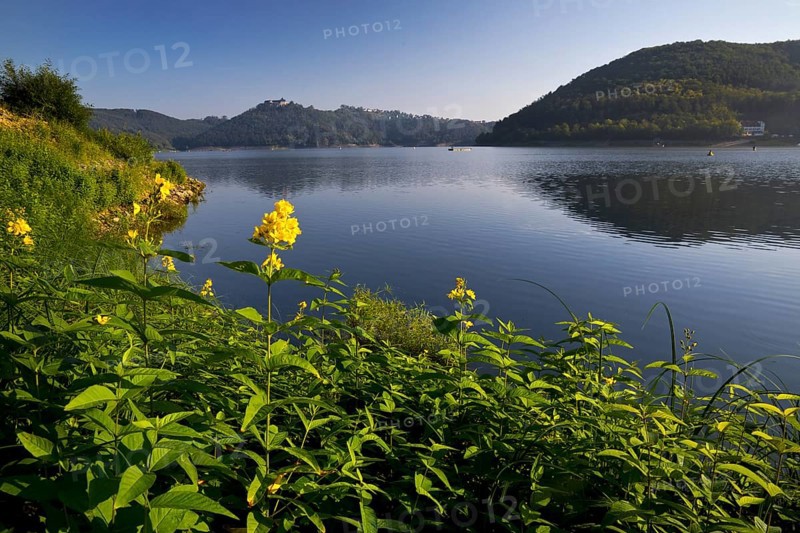 Lake Edersee with a view of Waldeck Castle