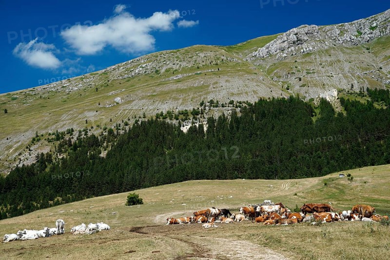 Gran Sasso and Monti della Laga National Park