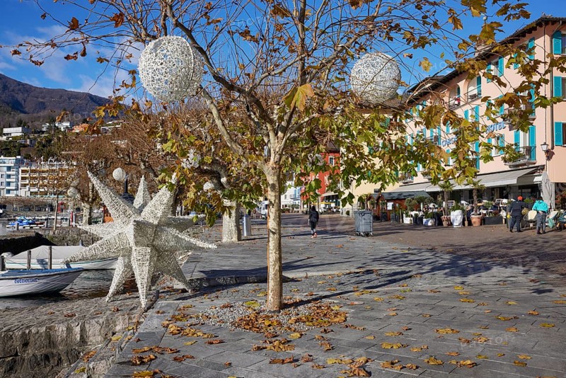 Plane trees