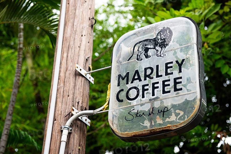Cafe at the Bob Marley Museum