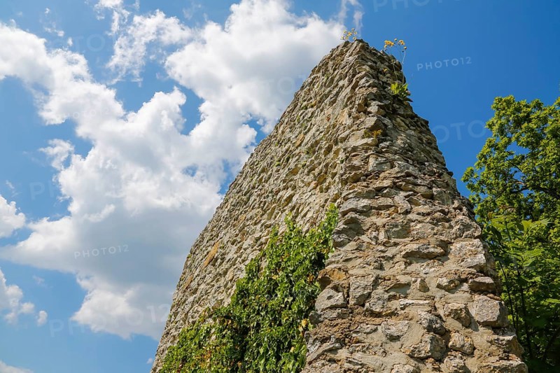 Teck Castle