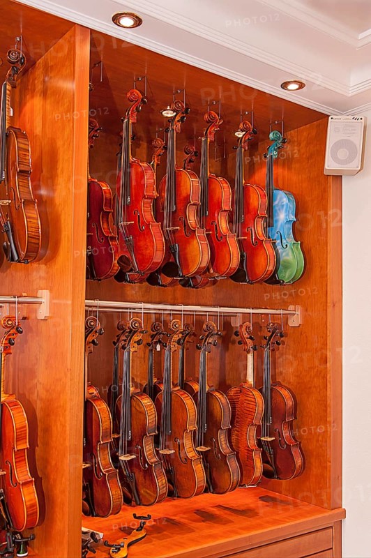 Violins by violin maker Rainer Leonhardt