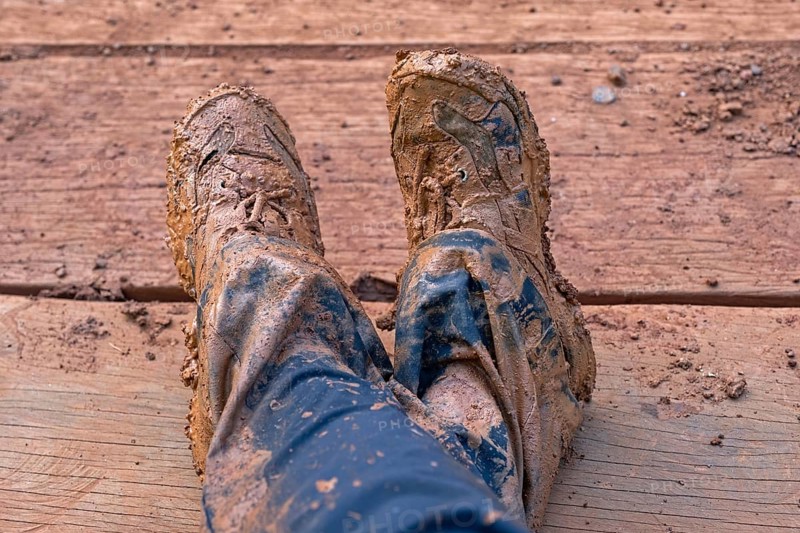 Close-up of wet