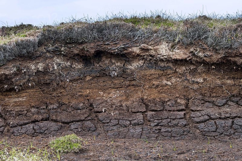 Peat hag showing exposed layers of turf