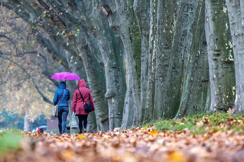 Autumn walk with umbrella in rainy weather
