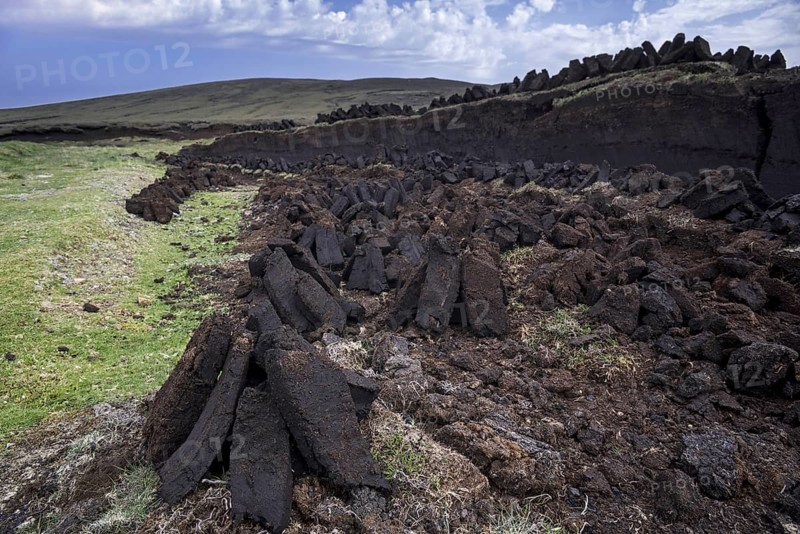Peat extraction in bog