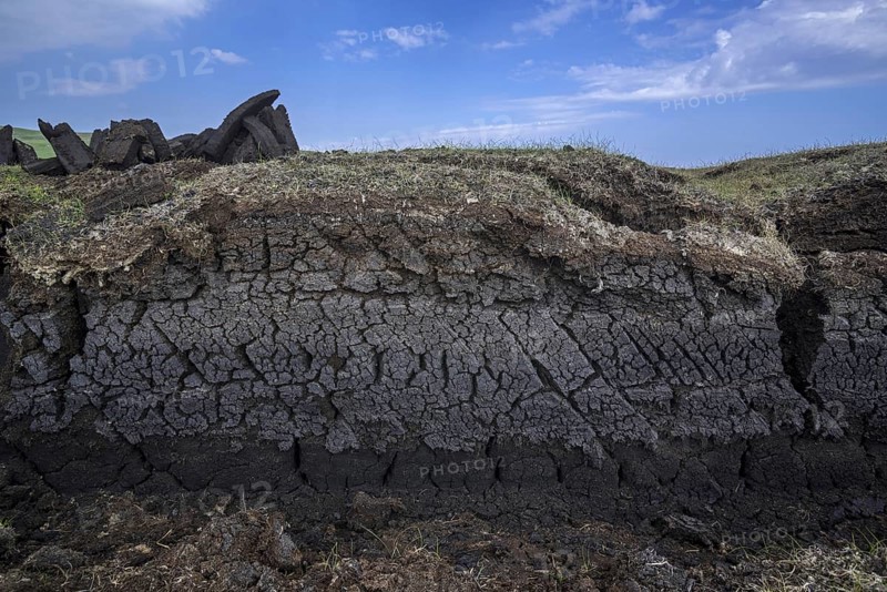 Cross section of moorland showing decayed vegetation