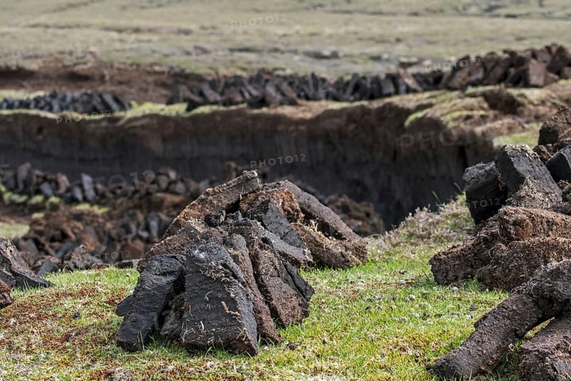 Peat extraction in bog