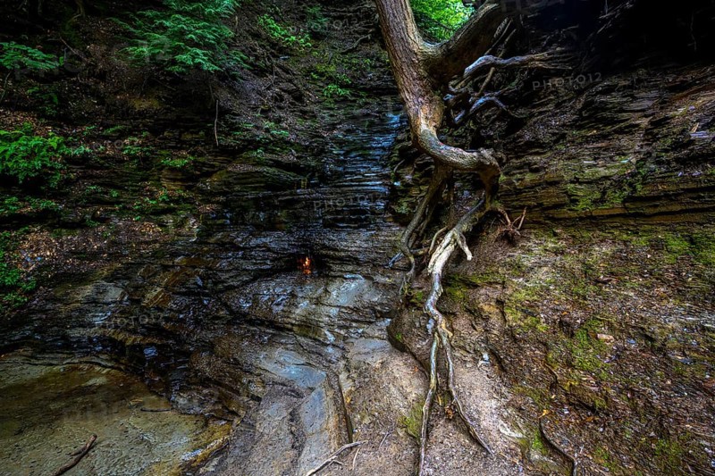 Chestnut Ridge Park Eternal Flame Falls Trail