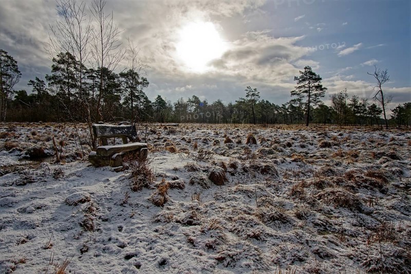 Snow-covered winter landscape with bench in the Tister Bauernmoor nature reserve