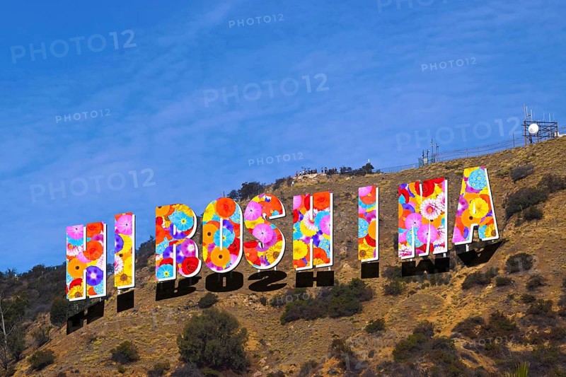 Lettering Hiroshima designed with colourful flowers