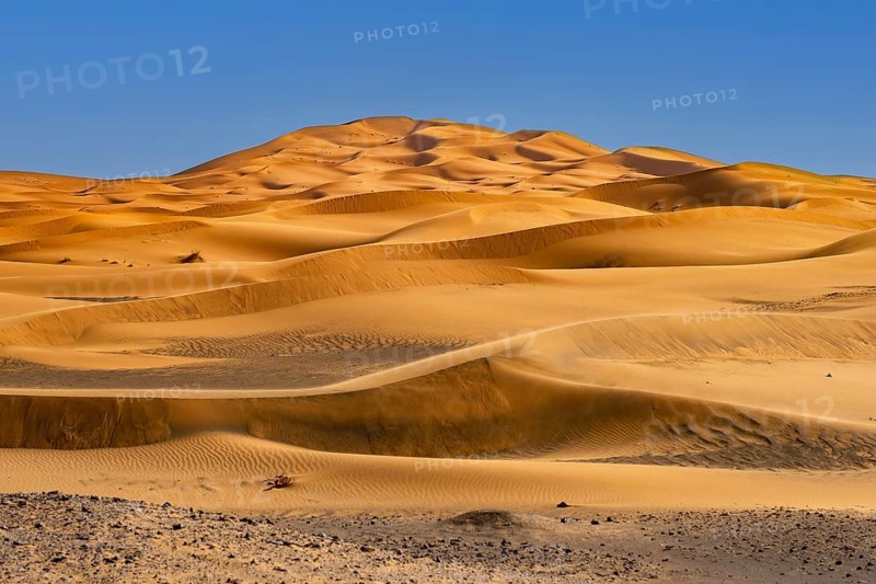 Wind-swept sand dunes of Erg Chebbi in the Sahara Desert near Merzouga