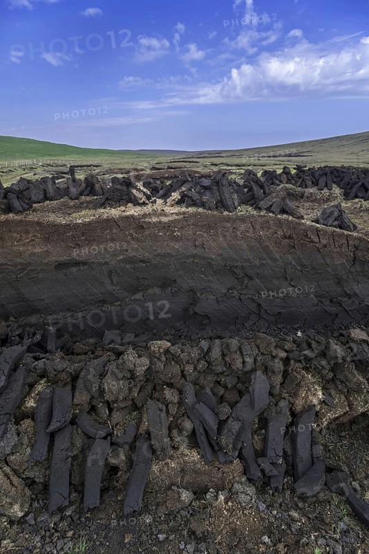 Cross section of moorland showing decayed vegetation