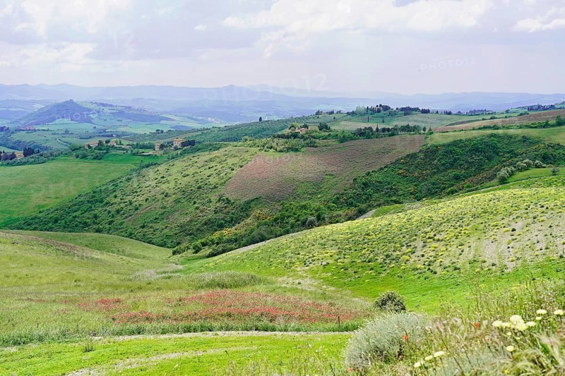 Landscape near Volterra