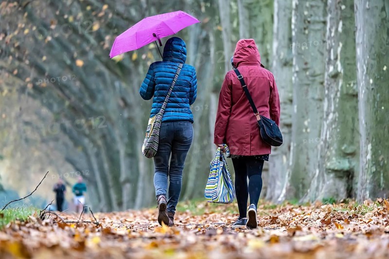 Autumn walk with umbrella in rainy weather