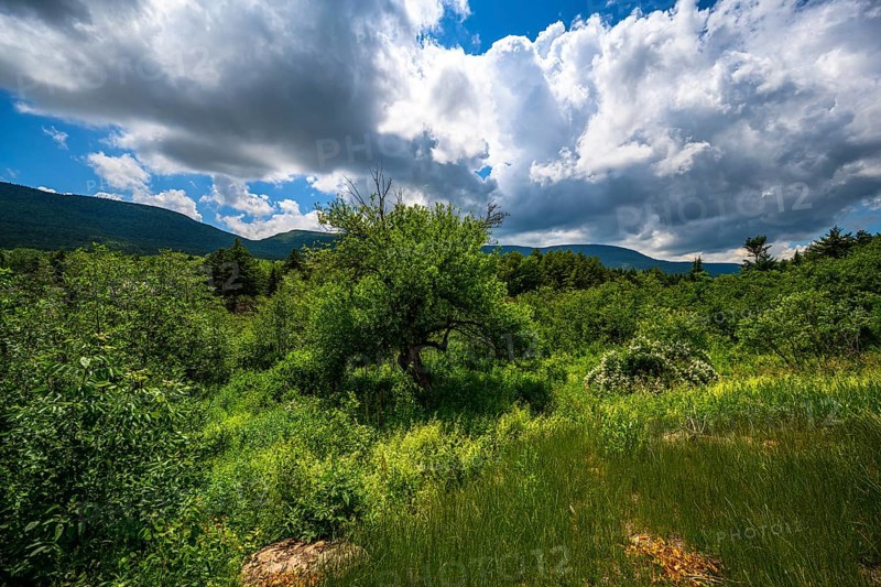 Catskills Mountains
