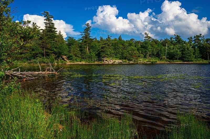 South Lake in Catskills Mountains