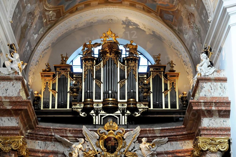 Organ