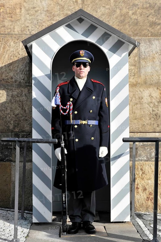 Guards at the Court of Honour