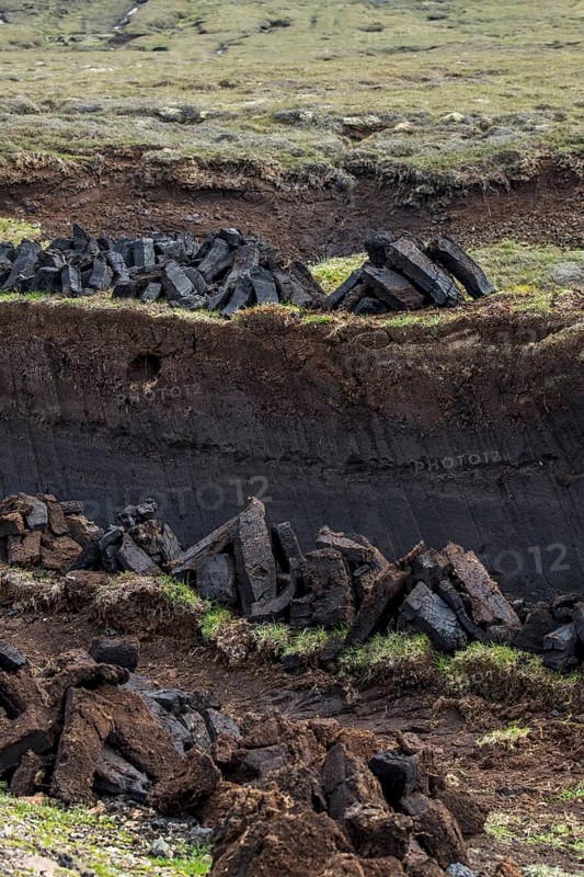 Peat extraction in bog