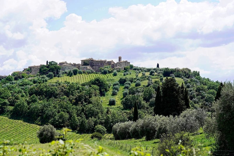 Landscape near Montalcino