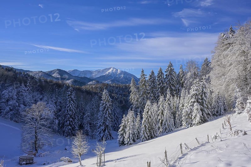 View of the Schneeberg