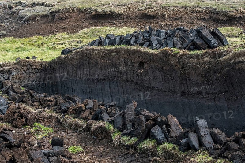Peat extraction in bog