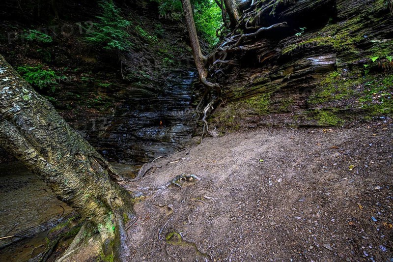 Chestnut Ridge Park Eternal Flame Falls Trail
