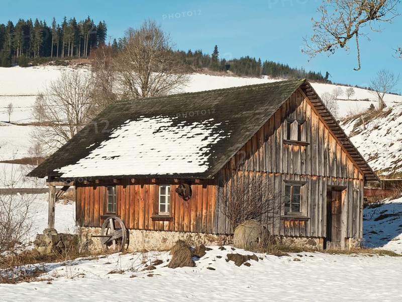 Mill in the Upper Black Forest near Titisee