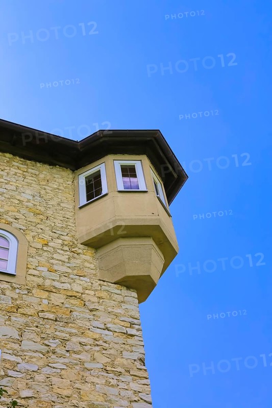 Detail of Teck Castle