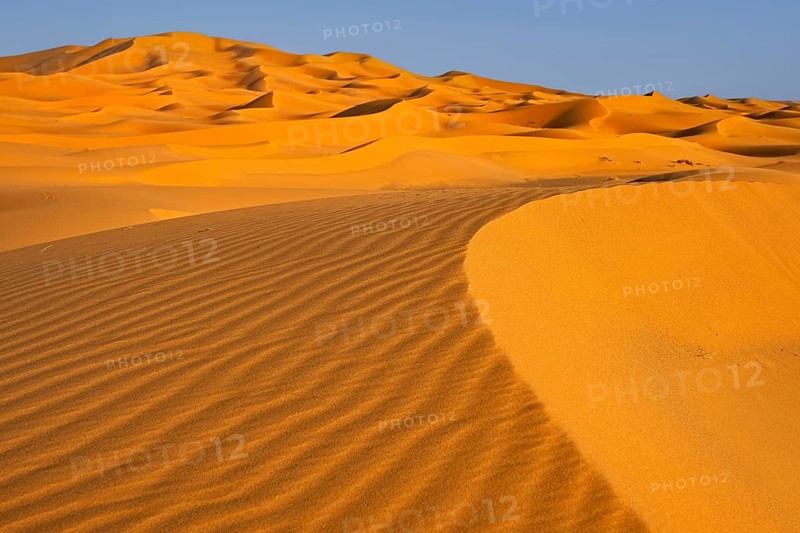 Sand ripples on wind-swept sand dune of Erg Chebbi in the Sahara Desert at sunset near Merzouga
