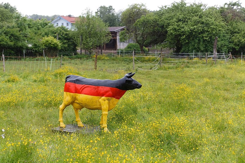 A life-size cow made of plastic in a flowering meadow