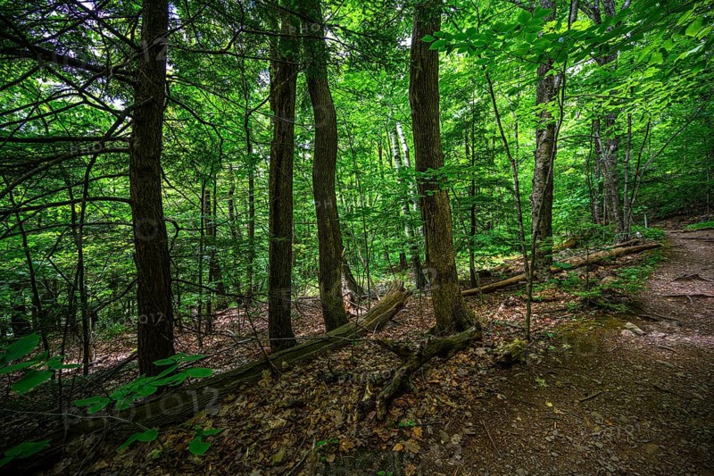Platte Clove Preserve in the Catskills Mountains
