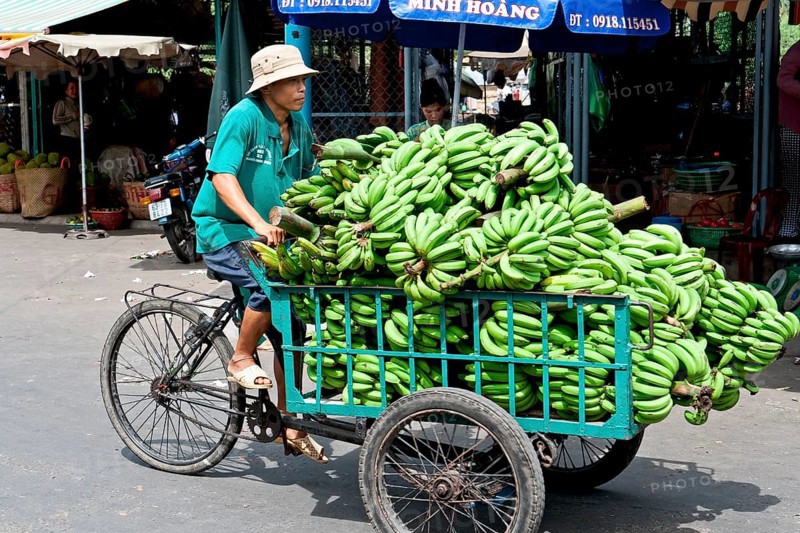 Man with tricycle full of bananas