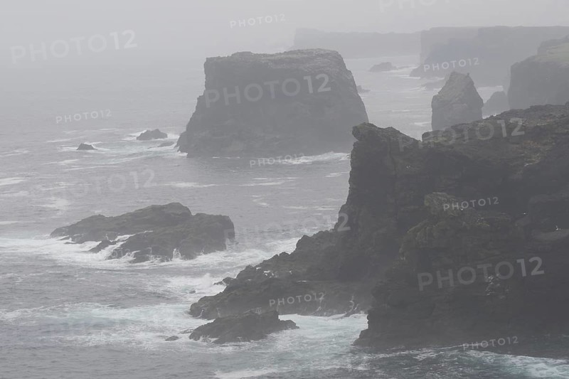 Sea stacks and cliffs in the mist at Eshaness