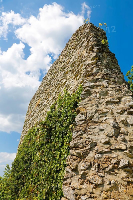 Teck Castle
