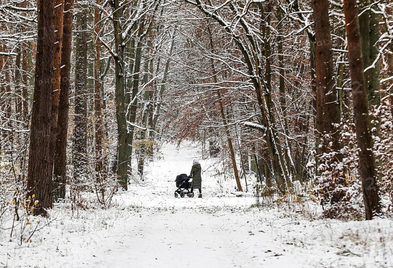 Woman with pram walking along snowy paths in Grunewald