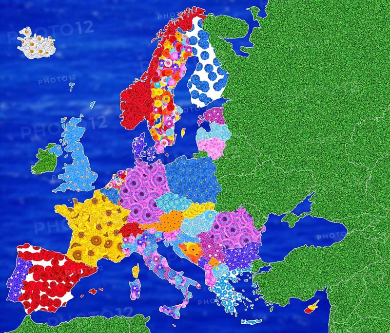 Continent of Europe in partly country-specific colours