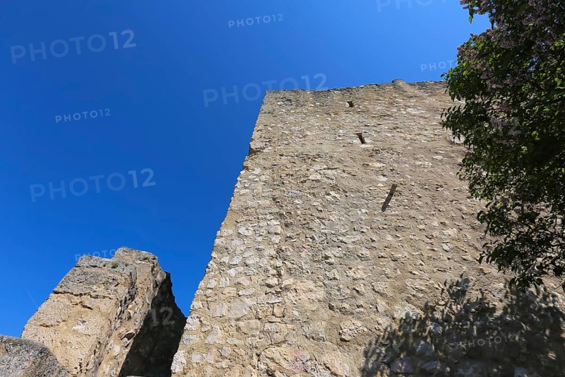 Castle Derneck