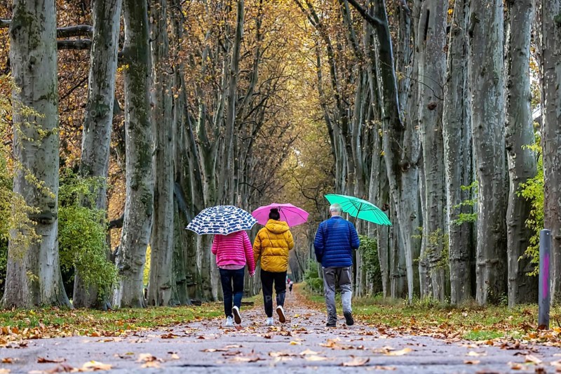 Autumn walk with umbrella in rainy weather