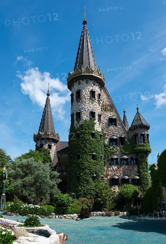 Picturesque castle entwined with ivy under a blue sky with sparse clouds over a small pond